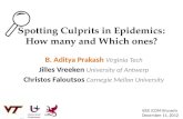 Spotting Culprits in Epidemics: How many and Which ones?