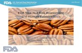 FDA Tree Nut Risk Assessment and Human Salmonellosis