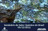 Seminário do Setor Químico do Brasil 05/12/2012
