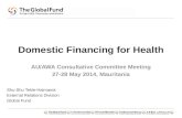 Domestic Financing for Health