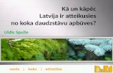 Kā un kāpēc  Latvija  ir atteikusies  no  koka daudzstāvu apbūves?