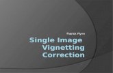 Single Image  Vignetting Correction
