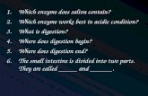 Which enzyme does saliva contain? Which enzyme works best in acidic condition? What is digestion?