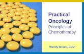Practical Oncology  Principles of Chemotherapy