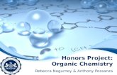 Honors Project:  Organic Chemistry