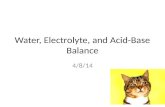 Water, Electrolyte, and Acid-Base Balance