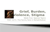 Grief, Burden, Violence, Stigma