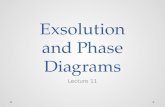 Exsolution and Phase  Diagrams