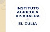 INSTITUTO AGRICOLA RISARALDA EL ZULIA
