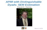 APIM with Distinguishable Dyads: SEM Estimation