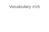 Vocabulary  #15