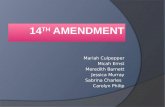 14 th  Amendment
