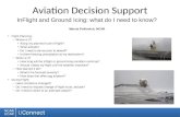 Aviation Decision Support