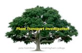 Plant Transport Investigation