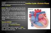 Cardiac  Cycle:  diastole Phase