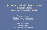 Universidad de San Andrés  Econometría Semestre  Otoño 2014