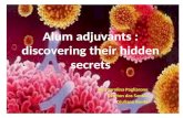 Alum adjuvants  :  discovering their hidden secrets