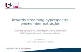 Towards streaming hyperspectral endmember extraction
