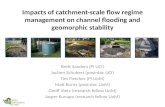 Impacts of catchment-scale flow regime management on channel flooding and geomorphic stability