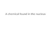 A chemical found in the nucleus