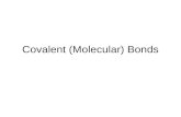 Covalent (Molecular) Bonds