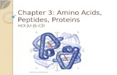Chapter 3: Amino Acids, Peptides, Proteins