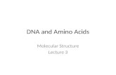 DNA and Amino Acids