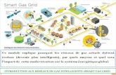INTRODUCTION AUX RESEAUX DE GAZ INTELLIGENTS (SMART GAS GRID)
