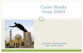 Case Study Iraq 2003