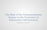 The Role of the Endomembrane System in the Evolution of Eukaryotic Cell Function