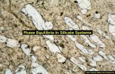 Phase Equilibria in Silicate Systems
