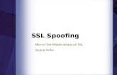 SSL Spoofing