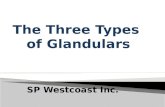 The Three Types  of  Glandulars