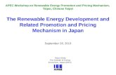 The Renewable Energy Development and Related Promotion and Pricing Mechanism in Japan