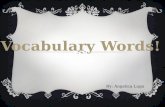 Vocabulary Words!