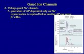 Gated Ion Channels