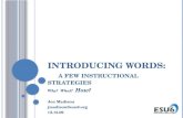 Introducing words: a few instructional strategies