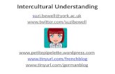 Intercultural Understanding