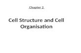 Chapter 2  Cell Structure and Cell  Organisation