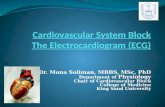 Cardiovascular System Block The Electrocardiogram (ECG)