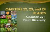 CHAPTERS 22, 23, and 24 PLANTS