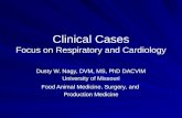 Clinical  Cases Focus on Respiratory and Cardiology
