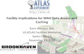 Facility Implications for WAN Data Access and Caching