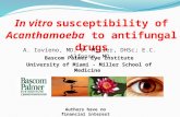 In vitro  susceptibility of  Acanthamoeba  to antifungal drugs