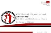 OS  214 [A]:  Digestive and  Excretory