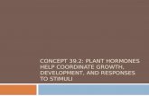 Concept 39.2: Plant hormones help coordinate growth, development, and responses to stimuli