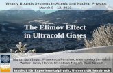The Efimov Effect  in Ultracold Gases
