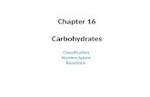 Chapter  16 Carbohydrates