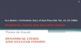 Theme de travail: DYNAMICAL CHAOS AND NUCLEAR FISSION