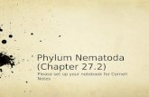 Phylum  Nematoda  (Chapter 27.2)